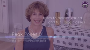 Yoga Forever - Peak Poses 1