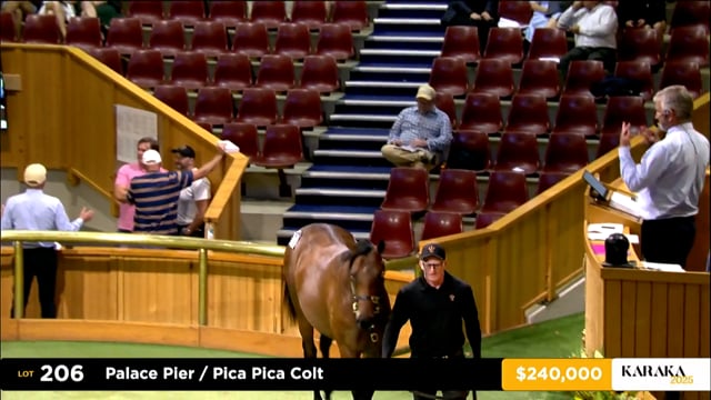 Karaka 2025: Book 1, Lot 206 - Lot 216