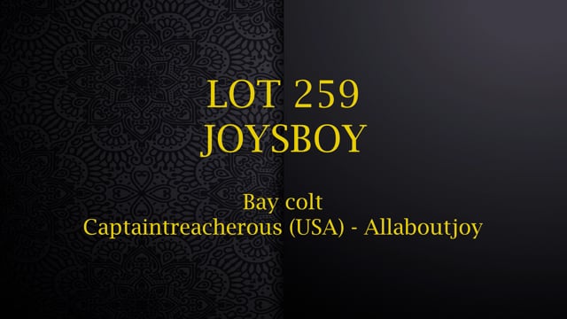 Lot 259