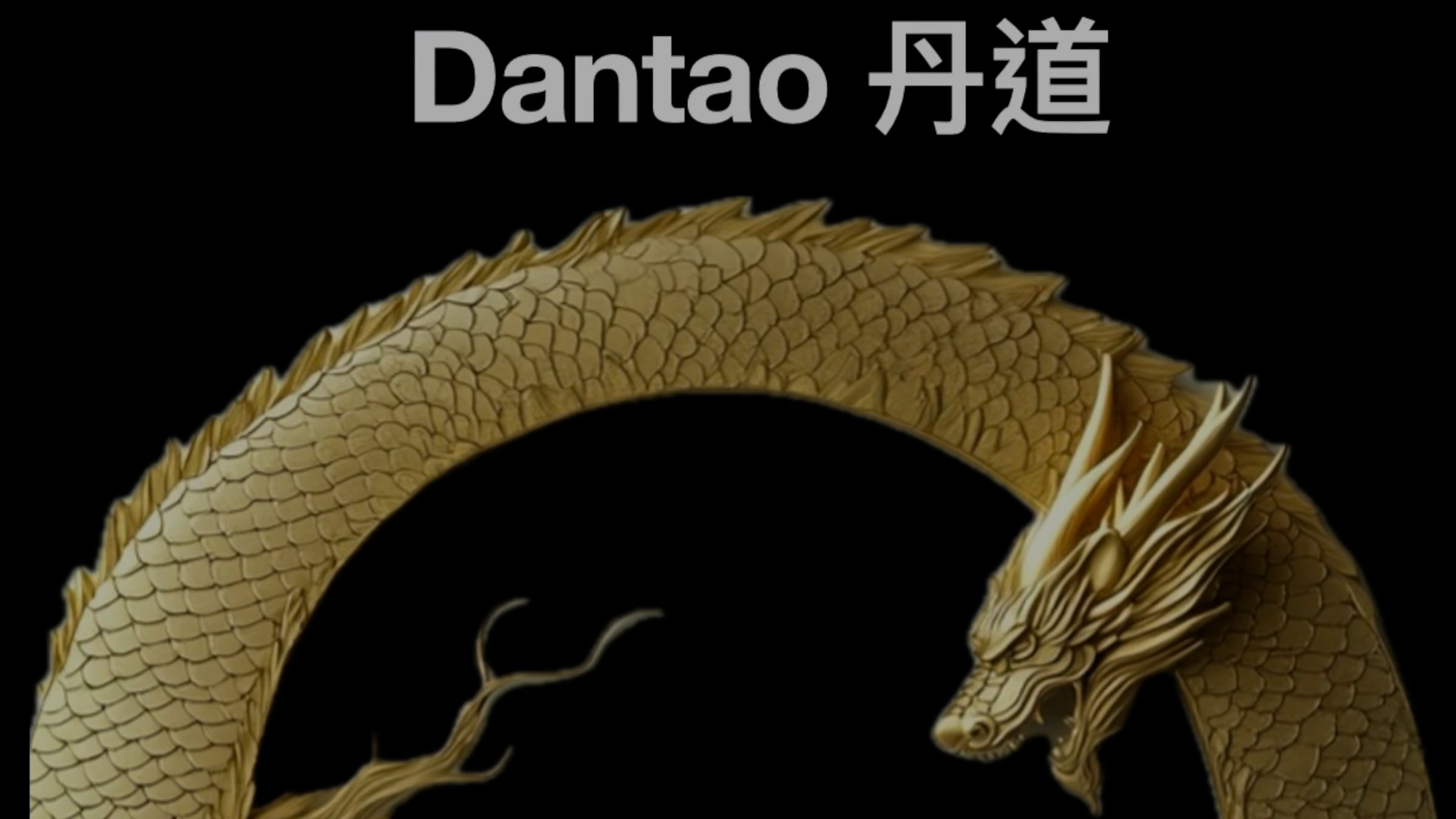 Intro Dantao welcome message Dr. sat Hon | Videos & Movies on Vimeo