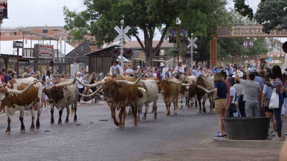 UNT Health at Fort Worth College of Nursing