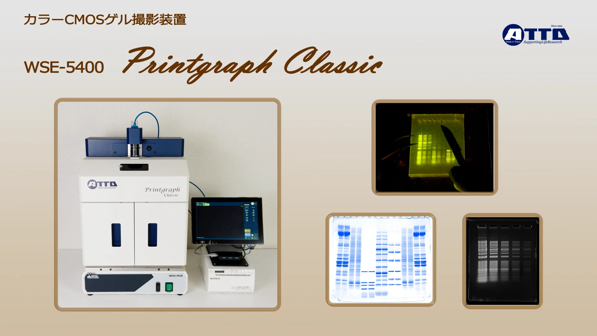 WSE-5400 プリントグラフClassic | ゲル撮影装置 | 蛍光/可視光 WSE-5400 プリントグラフClassic | ゲル撮影装置 | 蛍光/可視光