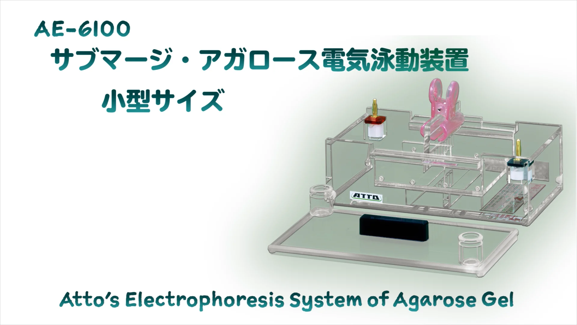 AE-6100 サブマージ アガロース電気泳動槽 | サブマリン（アガロース