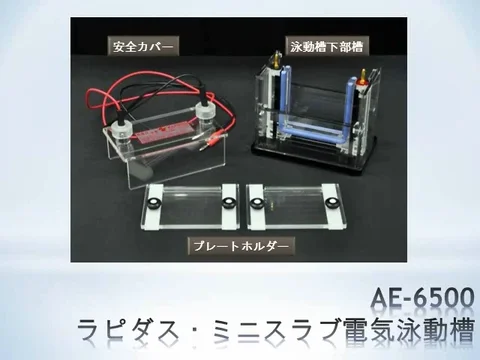 AE-6500 ラピダス ミニスラブ 電気泳動槽 | 販売終了製品 | 販売終了