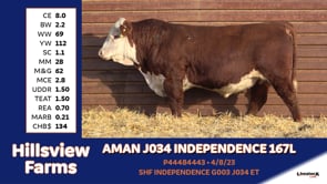 Lot #167L - AMAN J034 INDEPENDENCE 167L