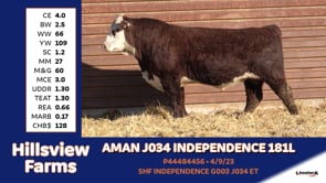 Lot #181L - AMAN J034 INDEPENDENCE 181L