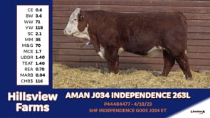 Lot #263L - AMAN J034 INDEPENDENCE 263L