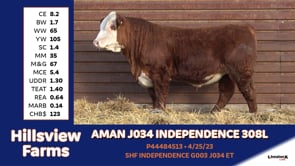 Lot #308L - AMAN J034 INDEPENDENCE 308L