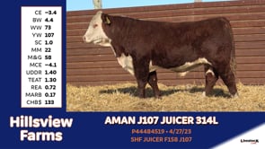 Lot #314L - AMAN J107 JUICER 314L