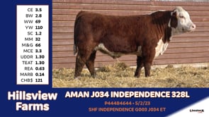 Lot #328L - AMAN J034 INDEPENDENCE 328L