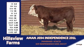 Lot #231L - AMAN J034 INDEPENDENCE 231L
