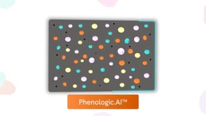 Watch Revolutionizing Drug Discovery with Phenologic.AI on Vimeo.