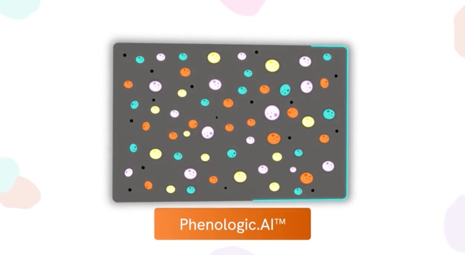 Watch Revolutionizing Drug Discovery with Phenologic.AI on Vimeo.