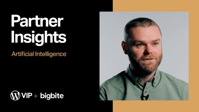 Thumbnail for: Partner Insights on AI: Big Bite