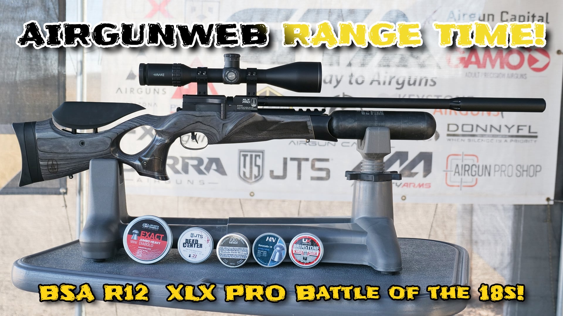 Modern Airgunner - BSA R12 XLX PRO LAMINATE PCP .22 Battle of the 18s ...