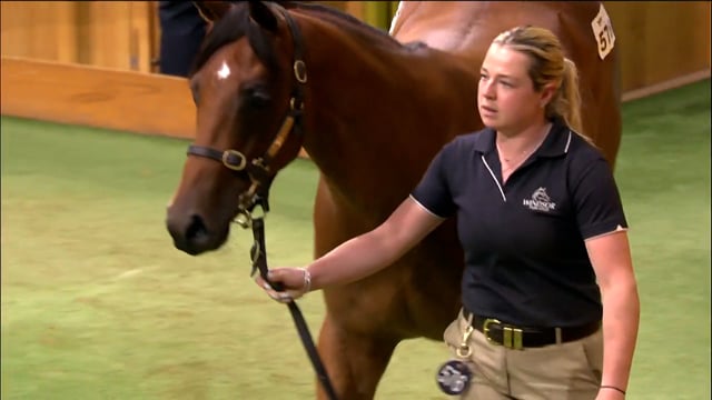 Karaka 2025: Book 1, Lots 576 - 583