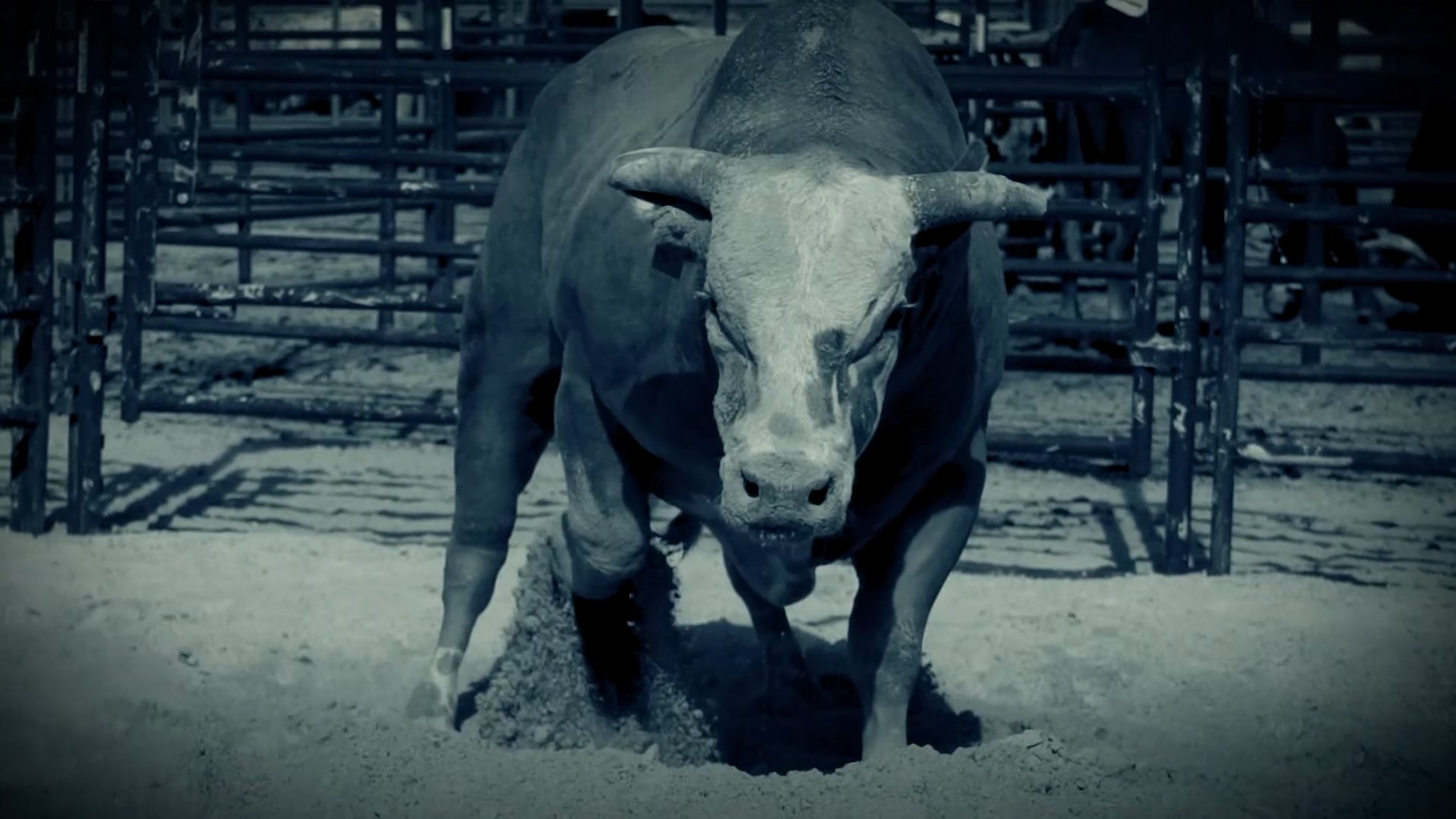 Professional Bull Riders - Meet the Bull - Promo Spot