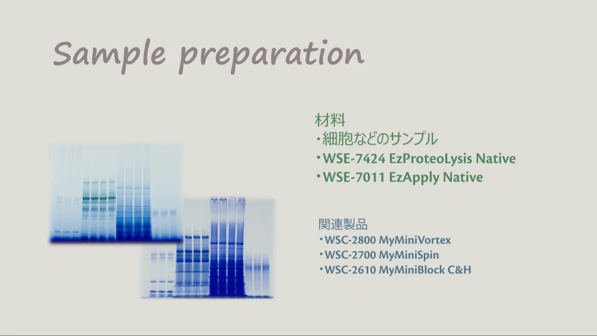 WSE-7424 EzProteoLysis Native | 細胞分画・タンパク質抽出