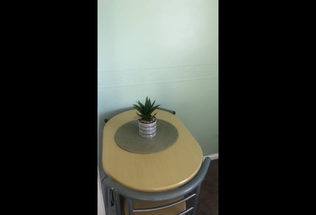 Cosy quiet single room Main Photo