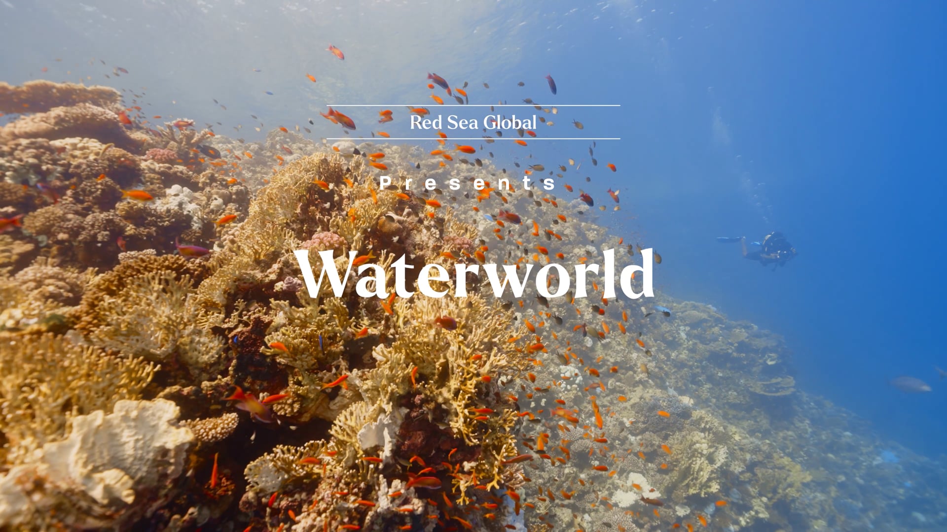 6780P Destination Experience Water v9.1