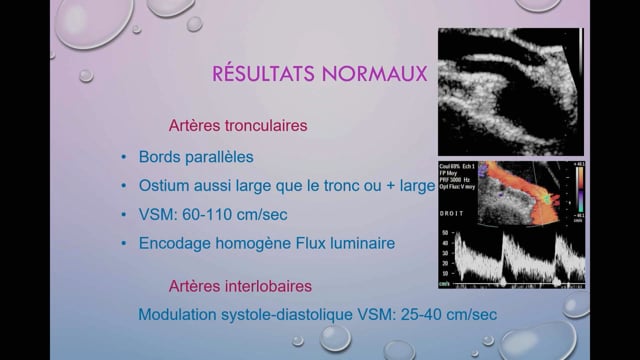 Écho-doppler des artères rénales