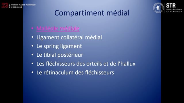 Échographie de la cheville (partie1)