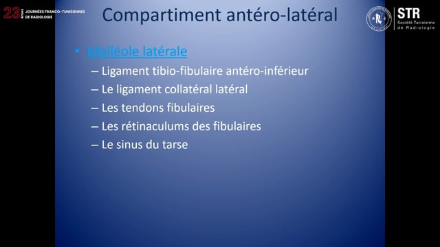 Échographie de la cheville (partie 3)