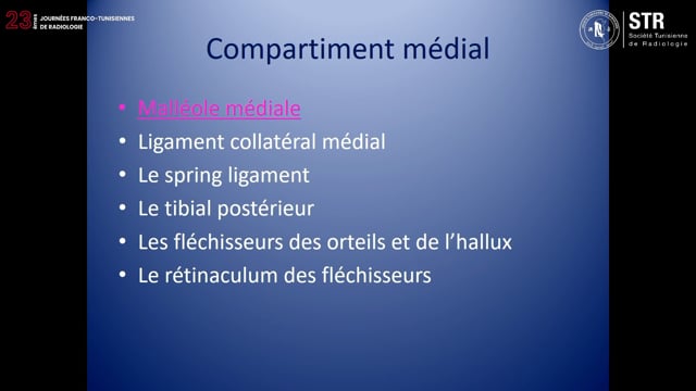 Échographie de la cheville (partie4)