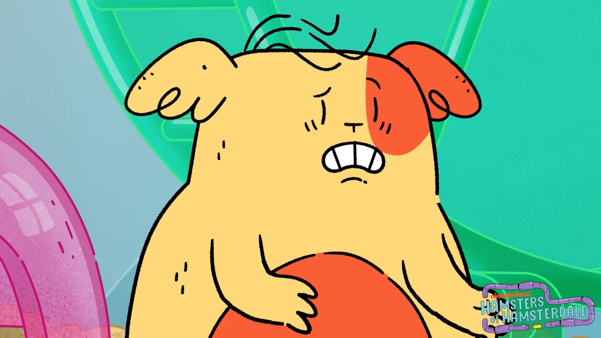Hamsters Anim Reel