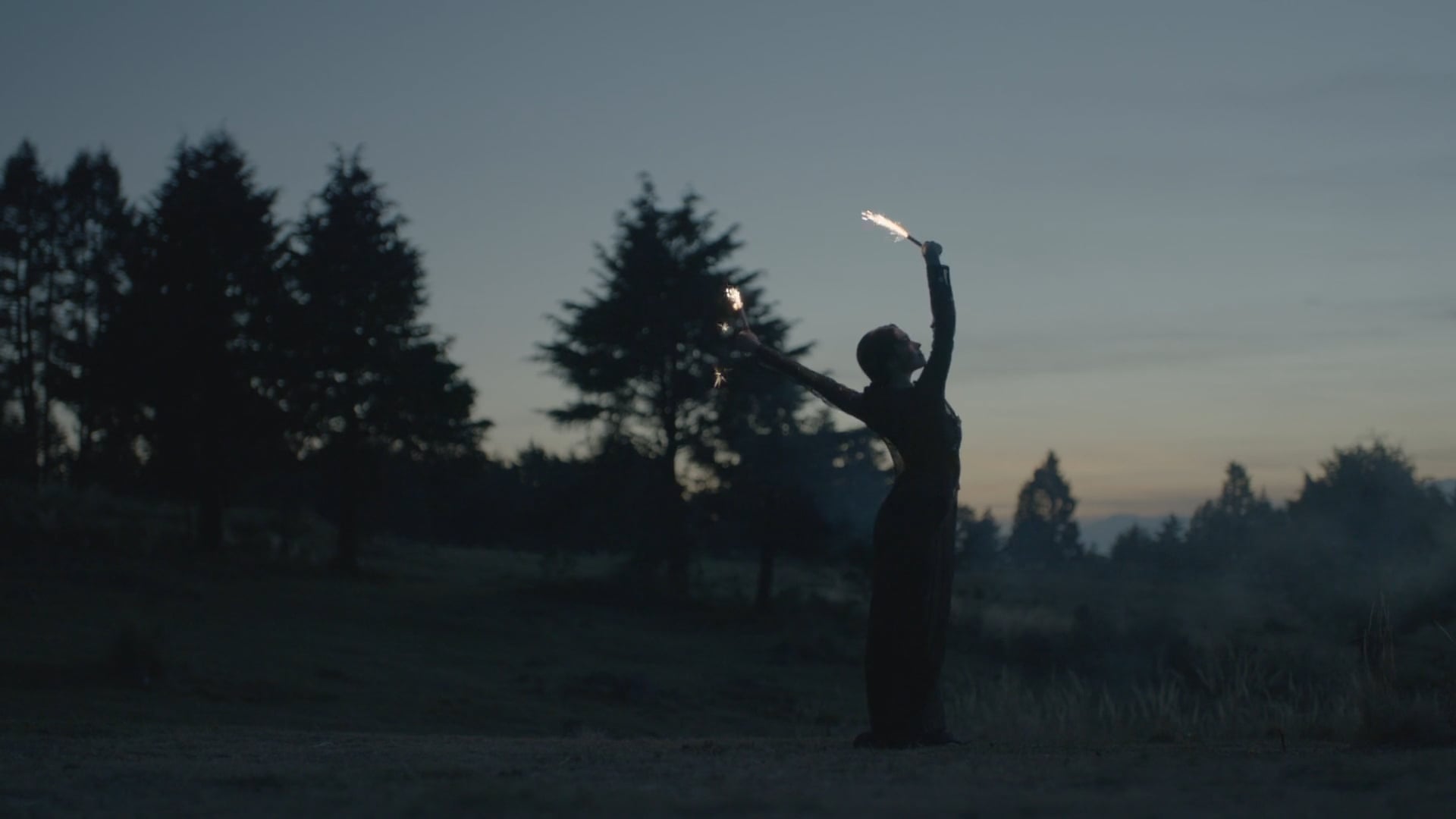 Pink Magnolia"Monarcas"(Director Santiago Arriaga)