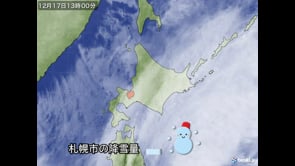 冬の衛星画像