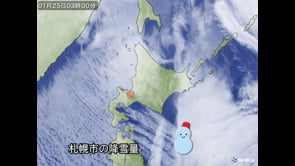 冬の衛星画像