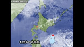 冬の衛星画像
