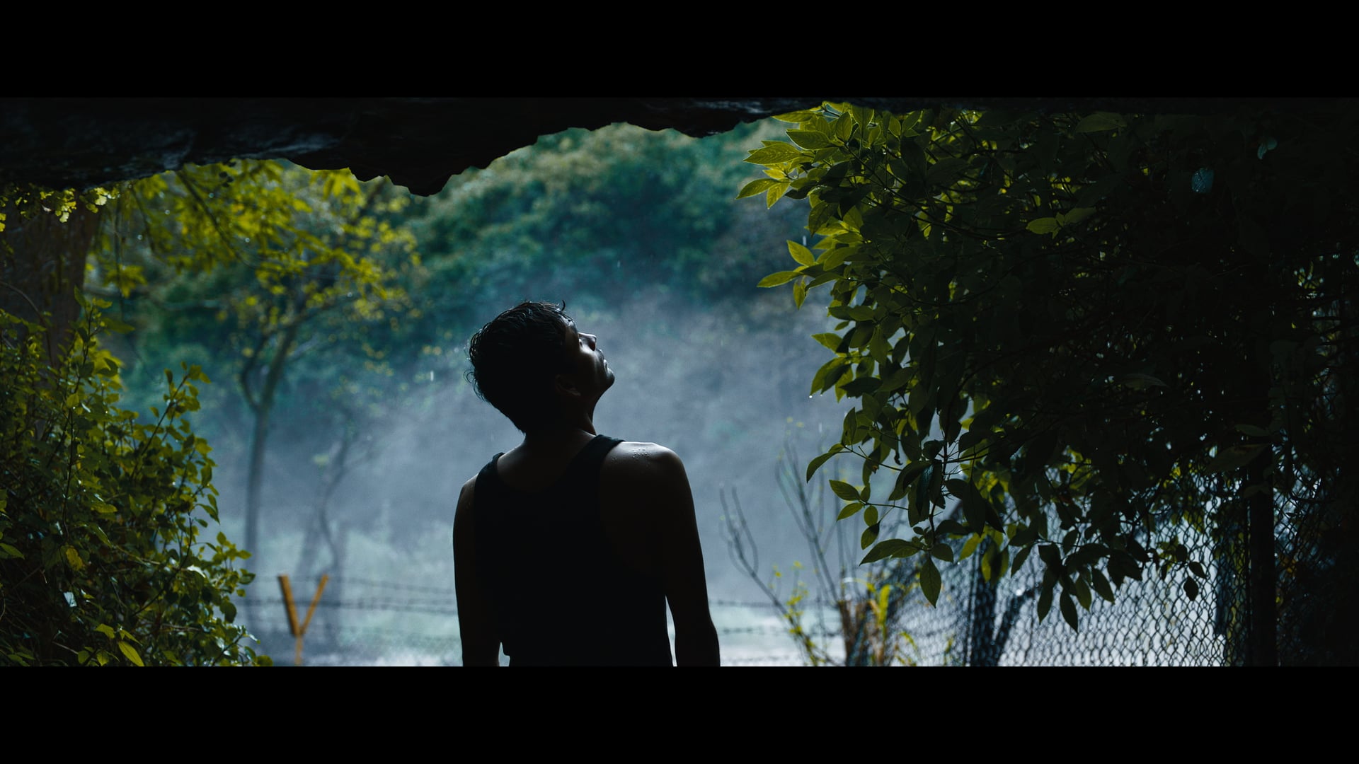 MH Tourism - DOP Cut