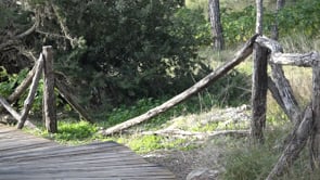 L'Ajuntament renova dos trams de les tanques de fusta del Passeig d'Empúries