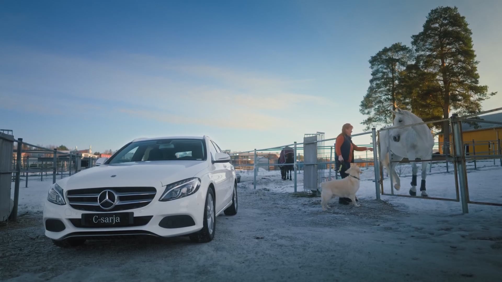 Mercedes-Benz: "C-farmari"