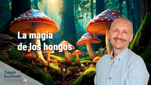 La magia de los hongos con Carlos Purroy – Cabalá Explicada Simplemente 26 de Enero 2025