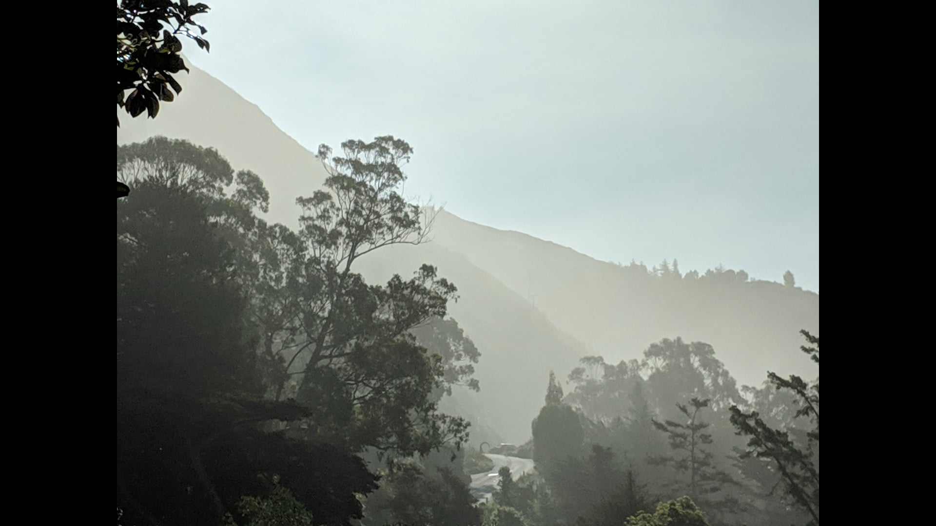 2025 January 01: Gratitude and Joy