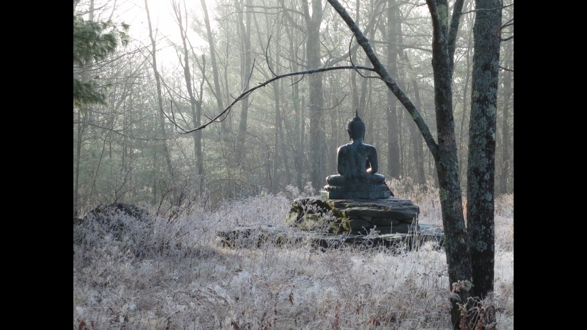 January 06: Introducing the Awakening Factor of Calm