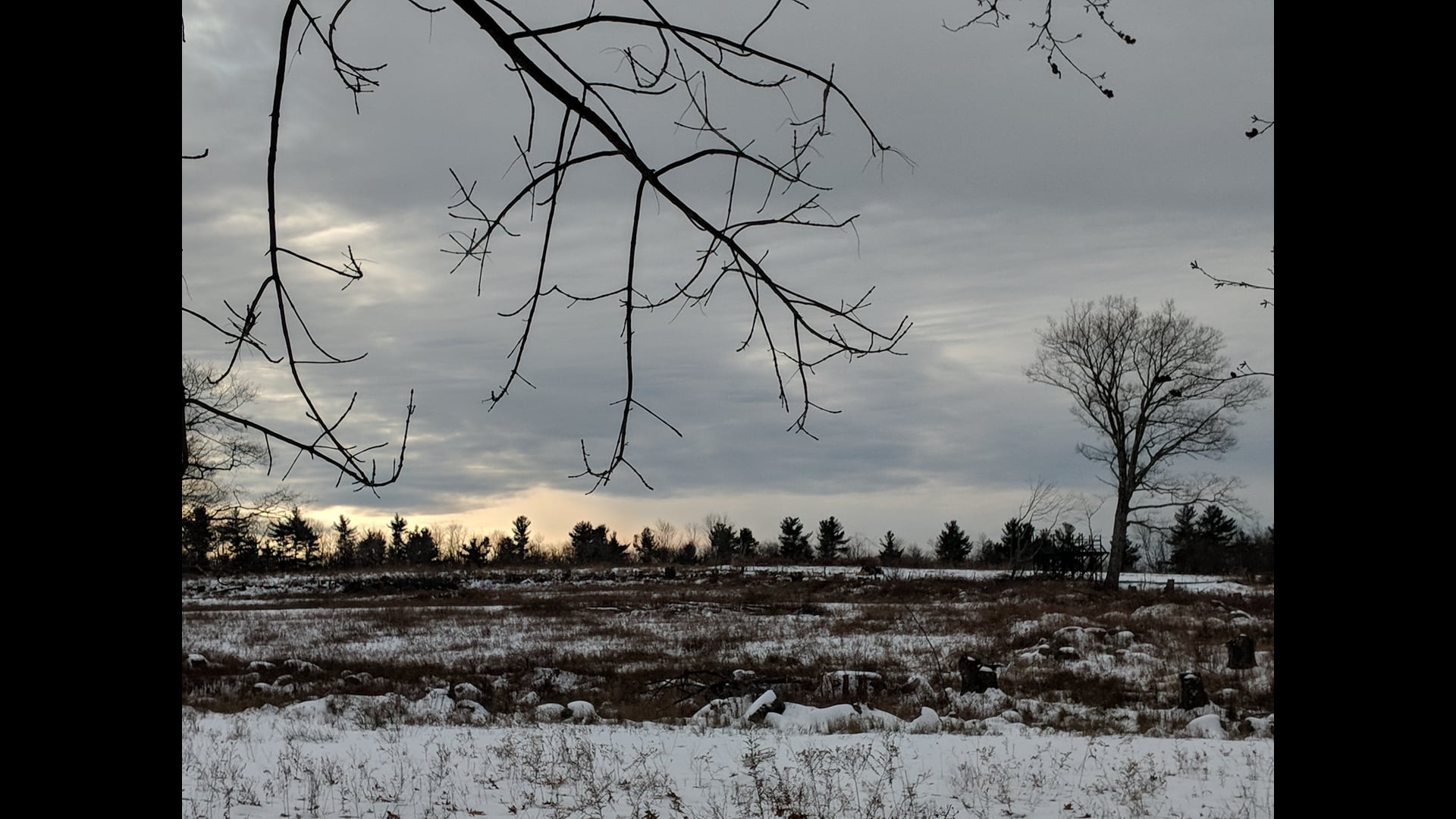 2025 January 08: The Art of Calming Down