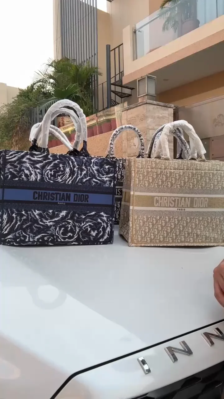 Dior Book Tote Bag For Women Skyler Fashion