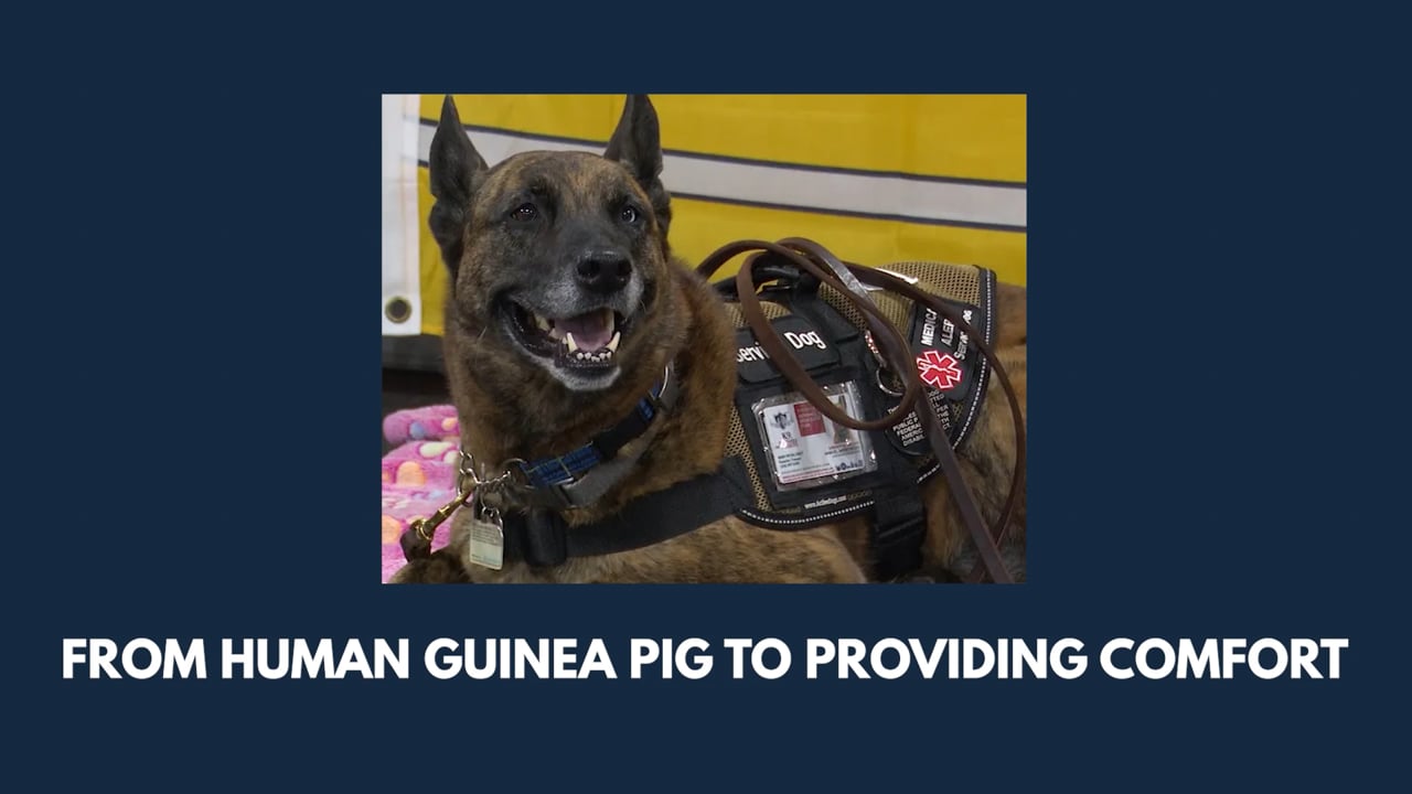 Iryll Jones - From Human Guinea Pig to Providing Comfort