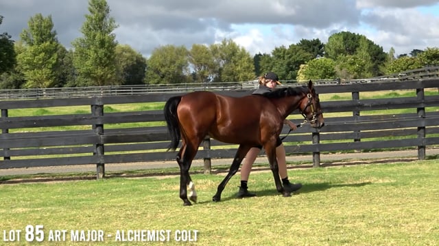 Lot 85