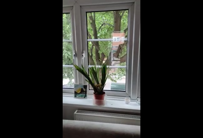 Video 1: Main room, double bed can become single