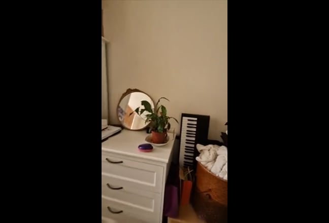 Video 1: Living room 