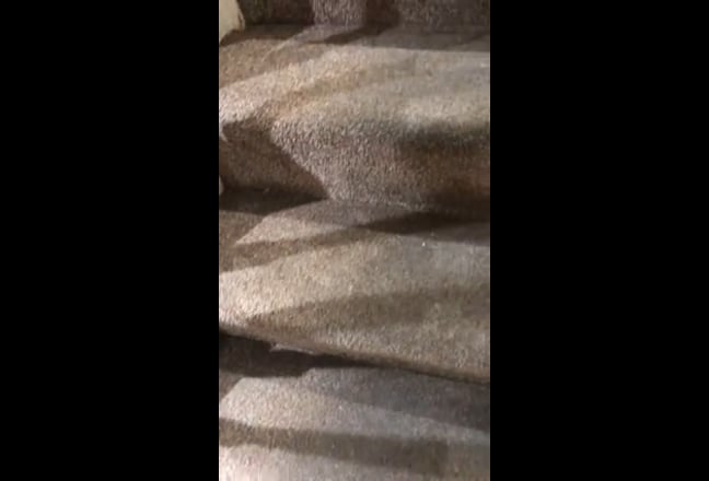 Room with its own bathroom and shower Main Photo