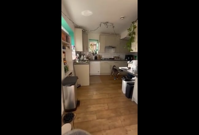 Double room for rent in house near Wimbledon  Main Photo