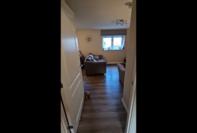 Video 1: