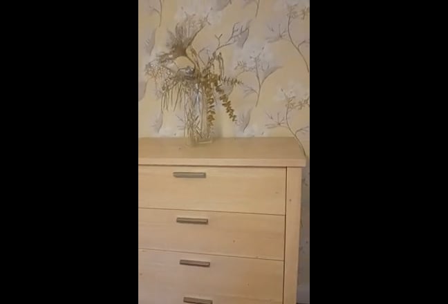 Video 1: