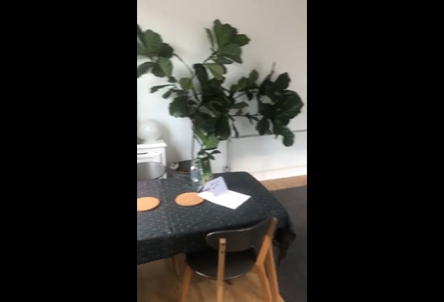 Short term -Whole flat and garden, bills included Main Photo